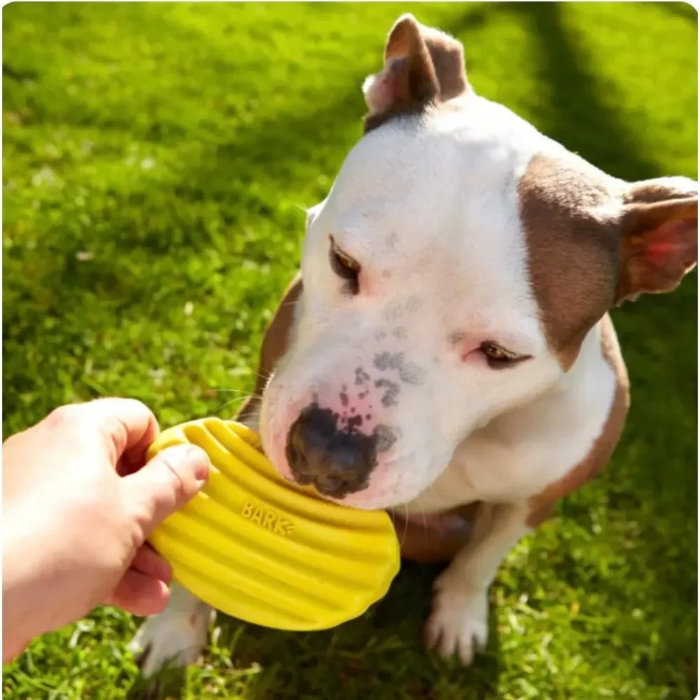Tuffles Potato Chip Super Chewer Durable Gnaw Dog Toy
